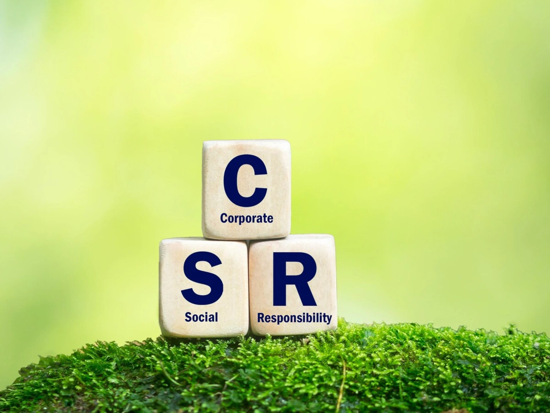 Gurugram, Faridabad Gets Major Share of CSR Funds; Backward Districts Lag Far Behind