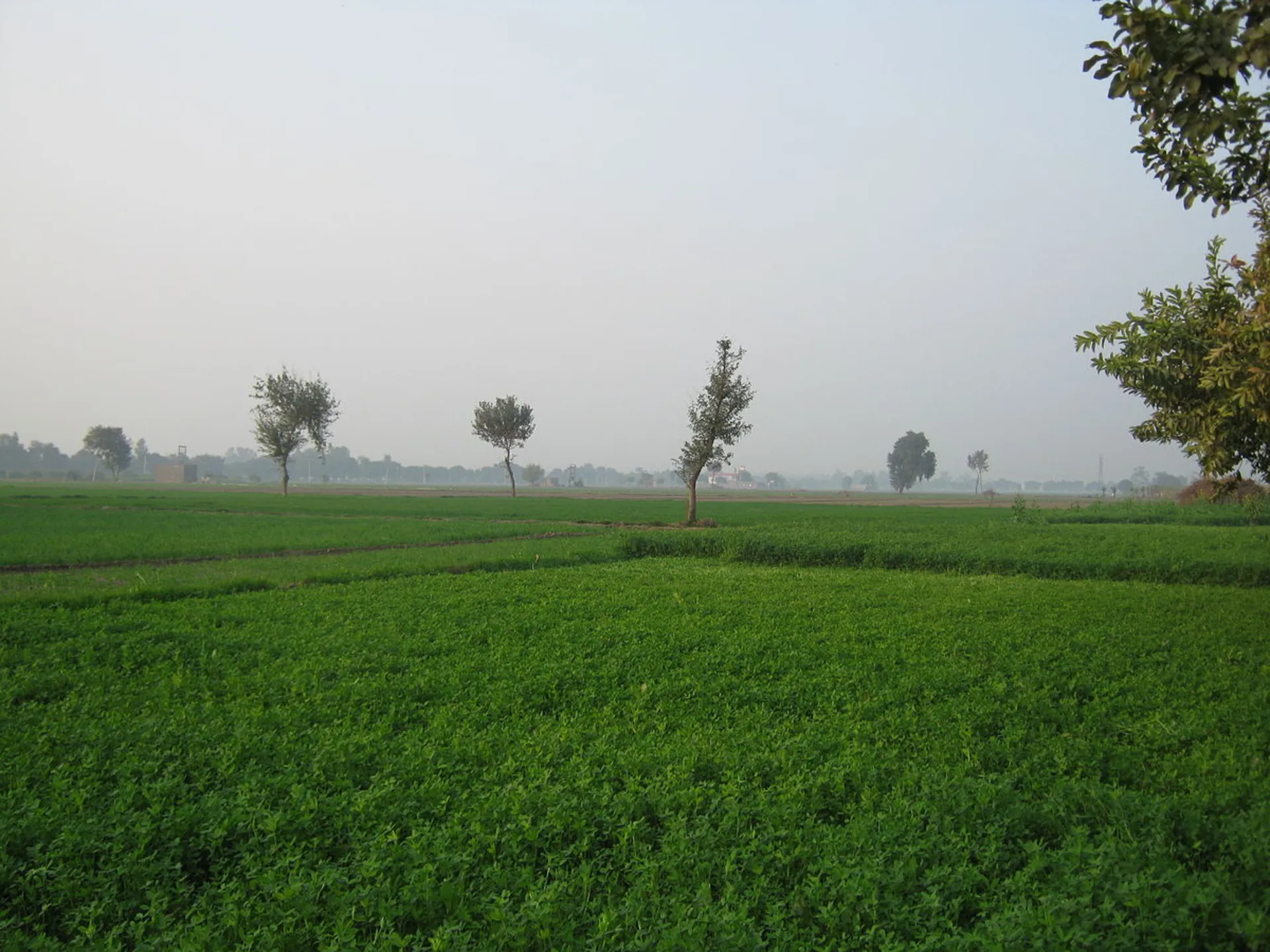 Haryana Cabinet Approves New Land Purchase Policy to Help Landowners