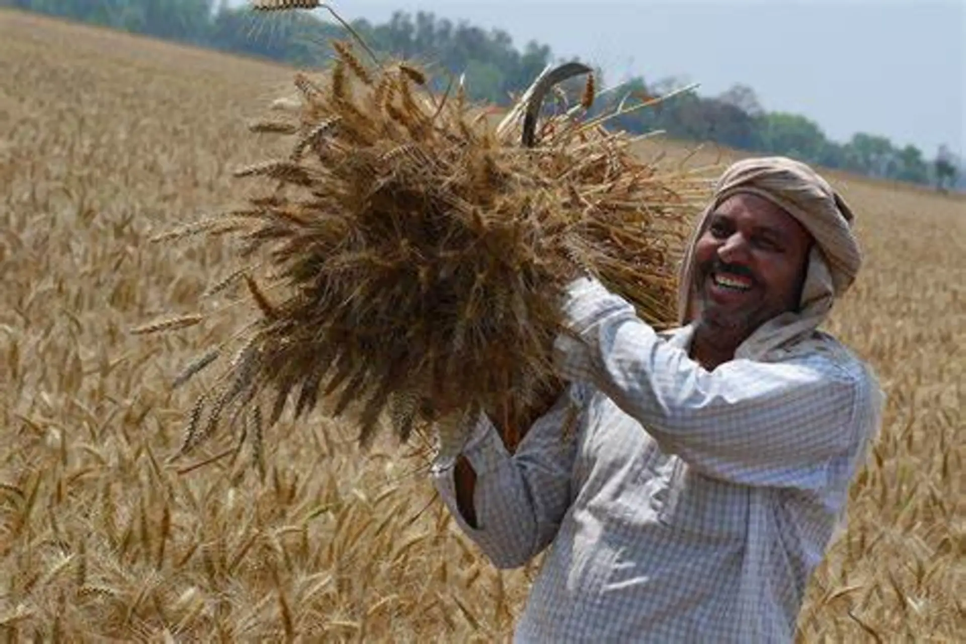 Haryana Agriculture Minister Transfers Rs 184 Crore Directly to Farmers' Accounts