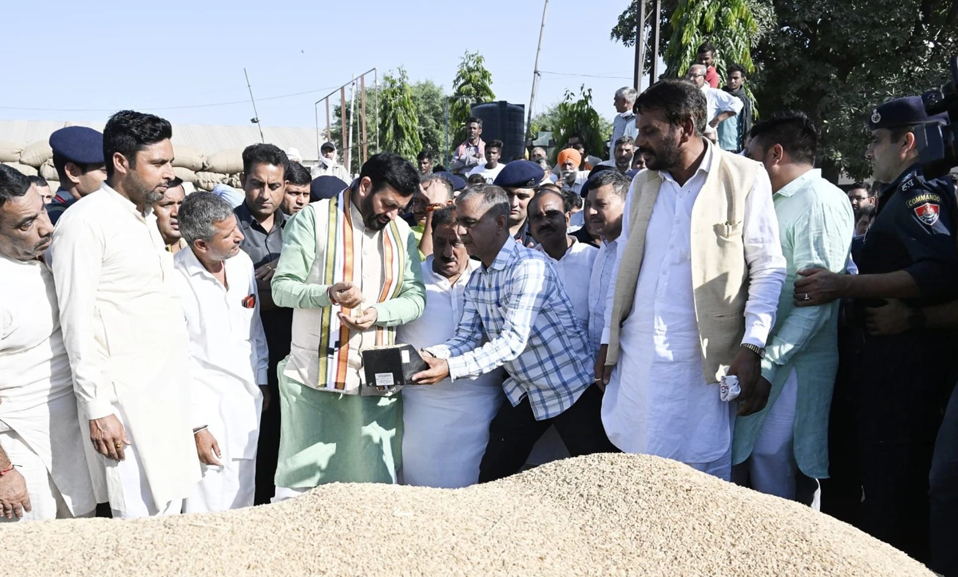 CM Saini Promises Timely Procurement of Paddy at MSP