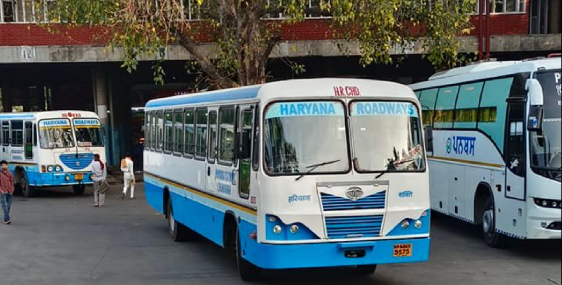 Haryana Roadways Eliminates Age Limits: Children and Seniors Now Pay Full Fare