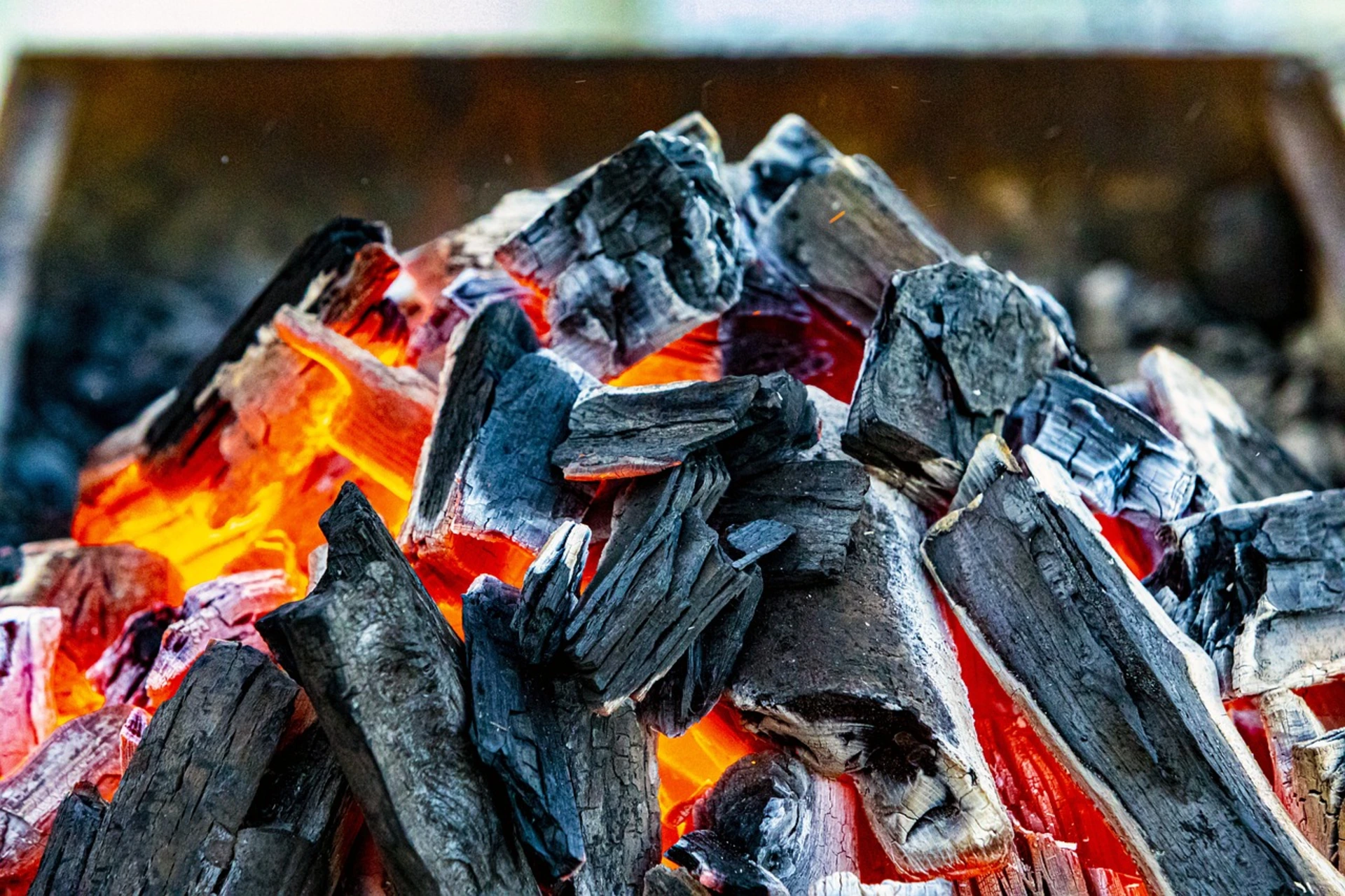 Faridabad Villages Unite Against Waste-to-Charcoal Plant Project