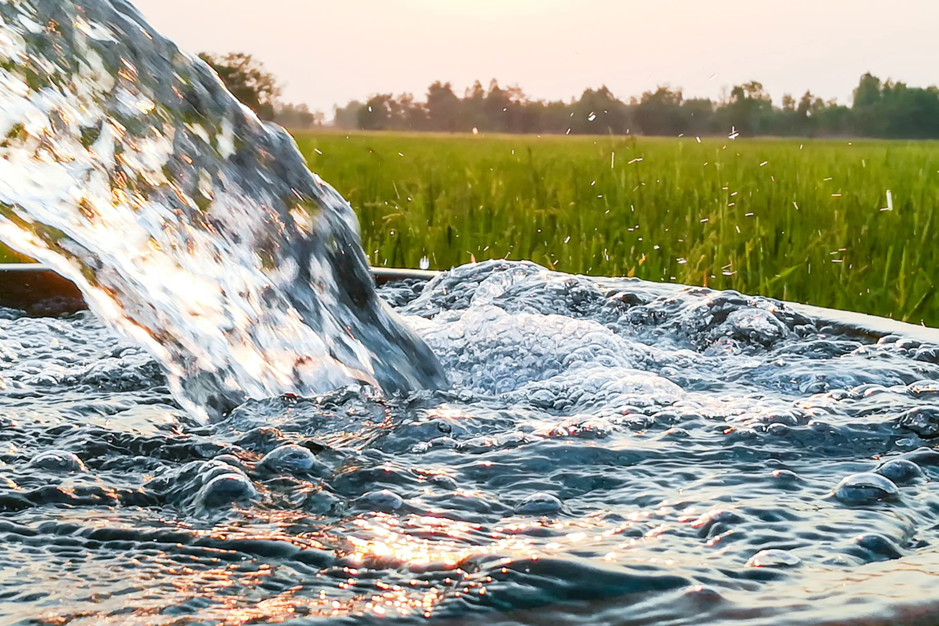 Groundwater Crisis Deepens: Haryana and Punjab Exceed Sustainable Extraction Limits