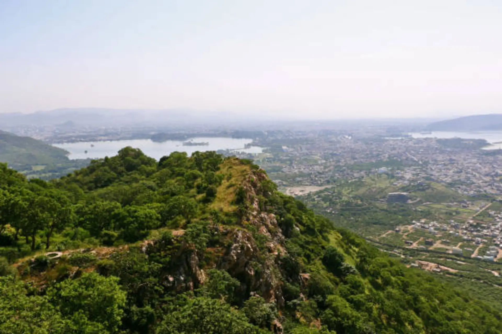 Haryana Accelerates Aravalli Green Wall Project