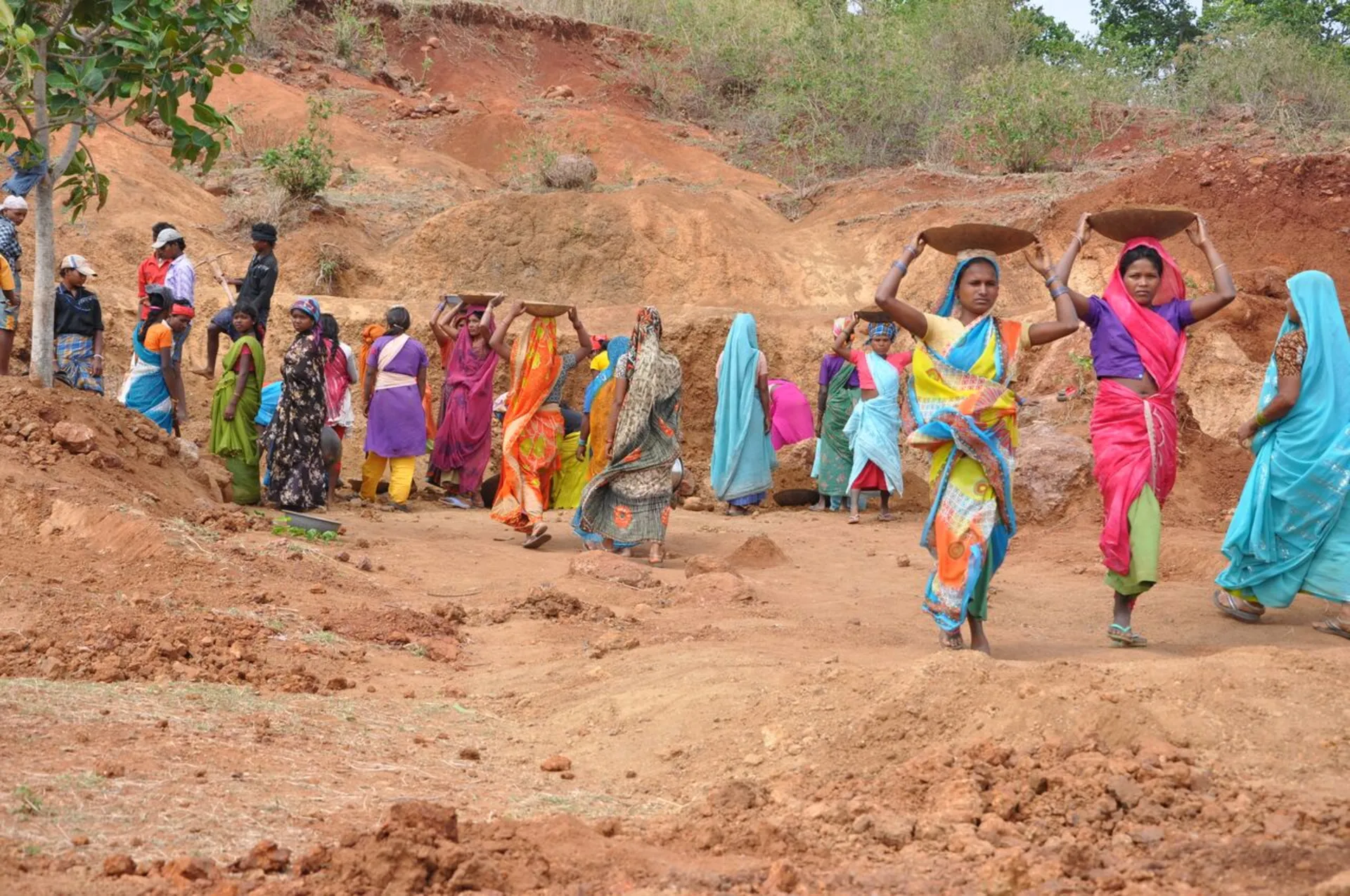 MGNREGA Falls Short in Haryana: Only 1.39 Lakh Families Got 100 Days’ Work in 18 Years