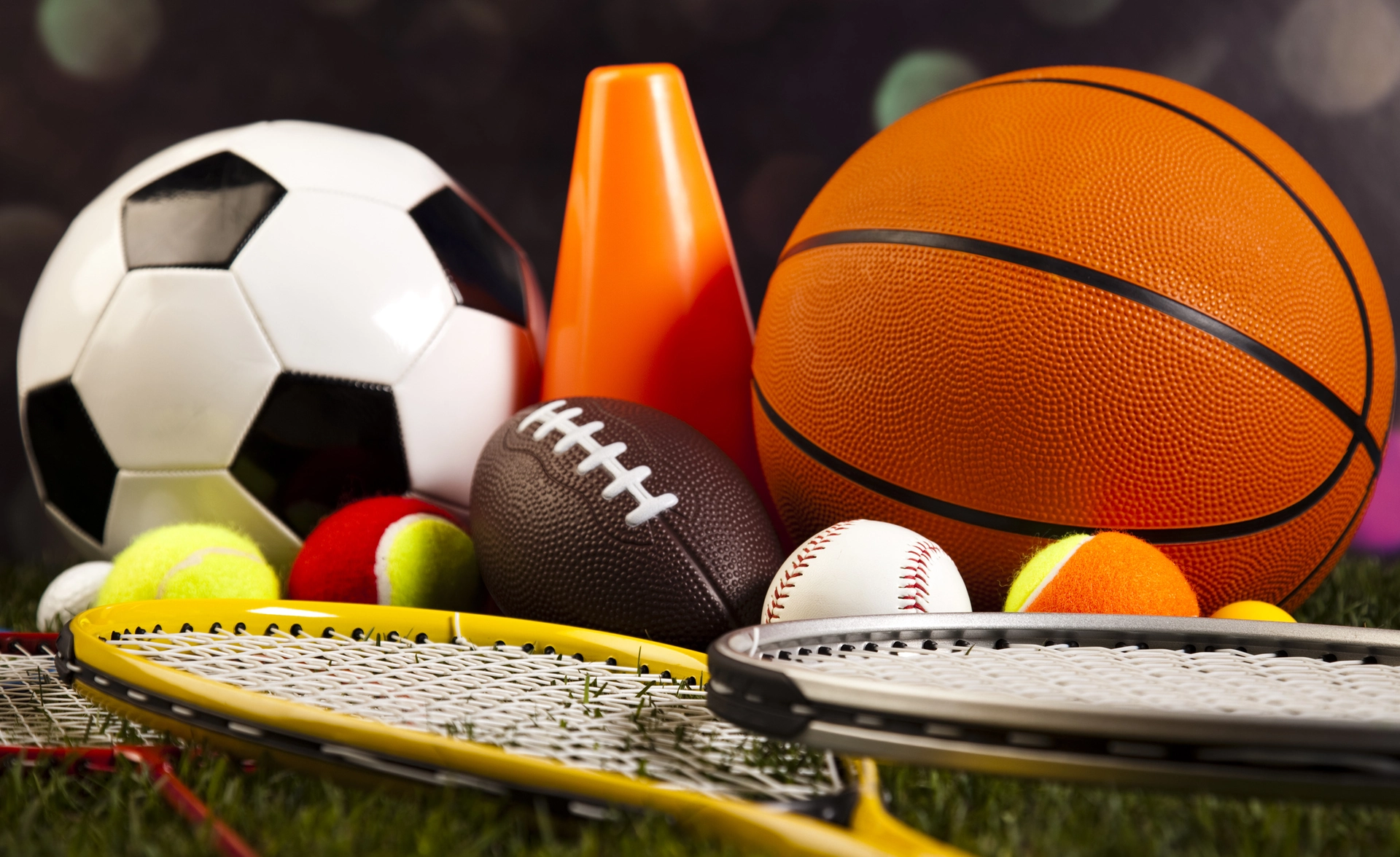 Rs 75 Lakh Allocated for Sports Equipment in Haryana Government Schools